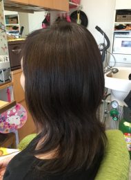 カラーリング　カット　集中育毛ケア　ヘアエステ　50代