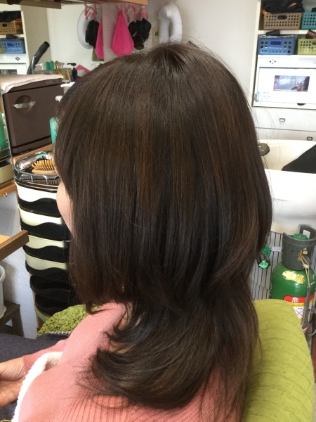 カラーリング　カット　集中育毛ケア　ヘアエステ　50代