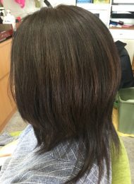 カラーリング　カット　ヘアエステ　集中育毛ケア　40代