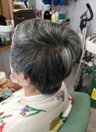 カット　ミントプラス　90代