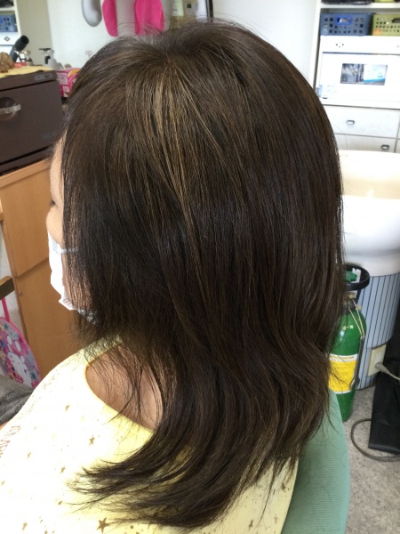 カラーリング　カット　ヘアエステ　集中育毛ケア　60代