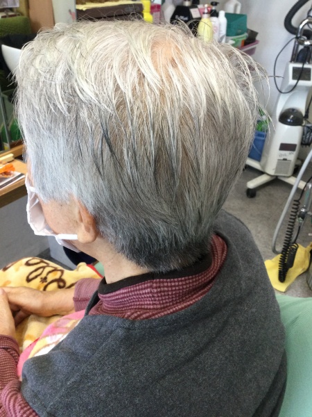 カット　集中育毛ケア　ヘアエステ　80代