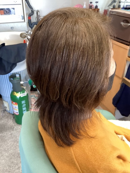 カラーリング　カット　集中育毛ケア　ヘアエステ　60代