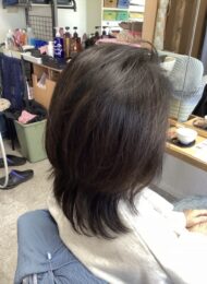 カラーリング　ヘアエステ　カット　60代