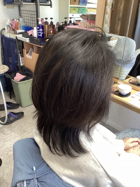 カラーリング　ヘアエステ　カット　60代