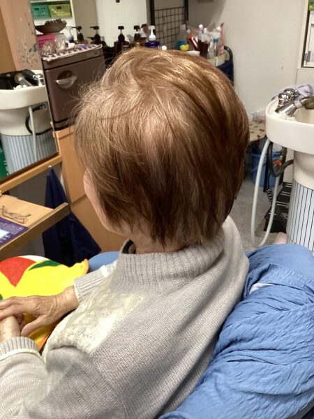 カラーリング　カット　ヘアエステ　集中育毛ケア　　70代